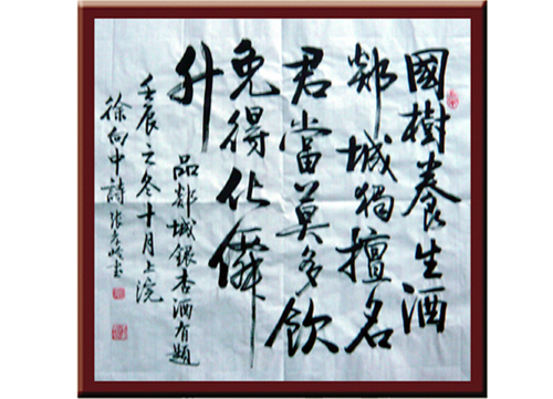 國樹養(yǎng)生酒
