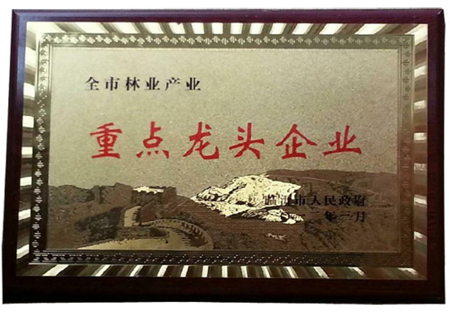 榮譽證書